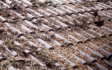 Standen roof cleaning companies