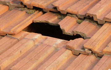 roof repair Standen, Kent