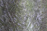 Standen fibreglass roof work