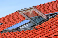 Standen roof window